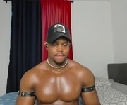 aaron_st is a 30 year old male webcam sex model.