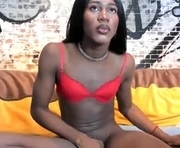 sweetts_skailer is a 20 year old shemale webcam sex model.