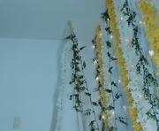 noorthernlightss is a 27 year old female webcam sex model.