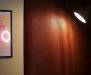 ravennadarcy is a 23 year old female webcam sex model.