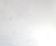 hunter_cunty is a 21 year old shemale webcam sex model.