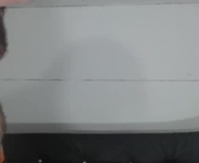 frank_jeanpaul is a  year old couple webcam sex model.