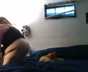 xoxmissmexox is a  year old female webcam sex model.