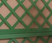 kore__1 is a  year old female webcam sex model.