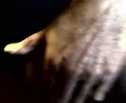 jries329 is a 64 year old male webcam sex model.