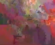 eli_elbe is a 24 year old shemale webcam sex model.