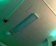 sexylax69 is a  year old male webcam sex model.