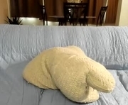 saandruskaa is a  year old female webcam sex model.