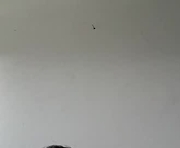 alondracc is a  year old female webcam sex model.