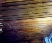 aryskitty is a 21 year old female webcam sex model.