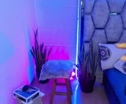 shairaa_brunette is a 33 year old female webcam sex model.