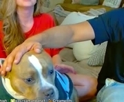 jacquiexxx is a  year old couple webcam sex model.