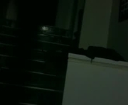 ouiostie is a 44 year old couple webcam sex model.
