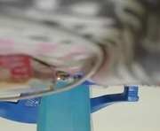 hazelperry1 is a 20 year old couple webcam sex model.