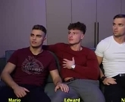 ed_hooligan is a 21 year old male webcam sex model.