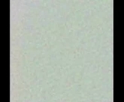 rossyevanss_ is a  year old female webcam sex model.