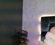 taurito___ is a 26 year old shemale webcam sex model.