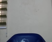 pussyxcockx is a 19 year old female webcam sex model.