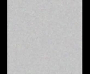 seldrys_elisabeth is a  year old couple webcam sex model.