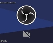 brandymodel is a 24 year old shemale webcam sex model.