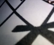 baddiebodie is a  year old female webcam sex model.