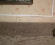 sweetiekris is a  year old female webcam sex model.